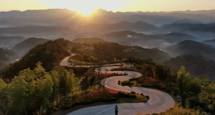 金地铂樾怡庭售楼部电话-价格详情-实时更新-售楼处地址-在售户型