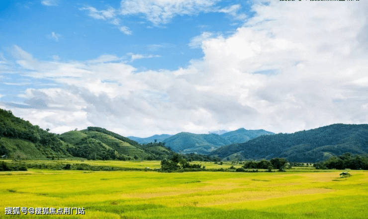 临安【朗诗溪涧雅庐】丨朗诗溪涧雅庐售楼处24小时电话丨售楼处地址丨最新价格