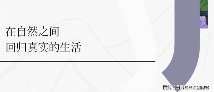 杭州西湖(洺川名著)楼盘网站丨洺川名著欢迎您丨洺川名著详情