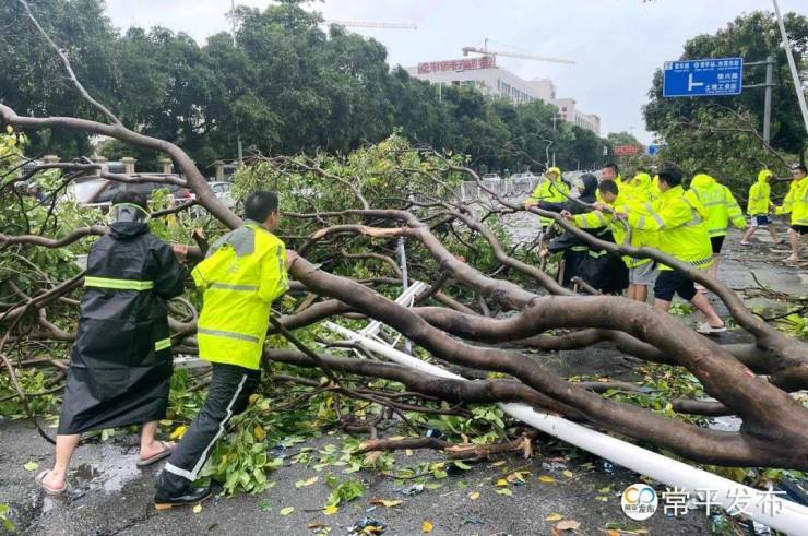 常平暴雨来袭,他们迅速除隐患保畅通