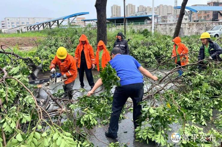 常平暴雨来袭,他们迅速除隐患保畅通