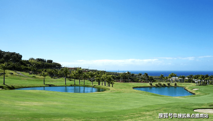 揽海果岭小院(上海崇明)揽海果岭小院首页网站-揽海果岭小院欢迎您-楼盘详情