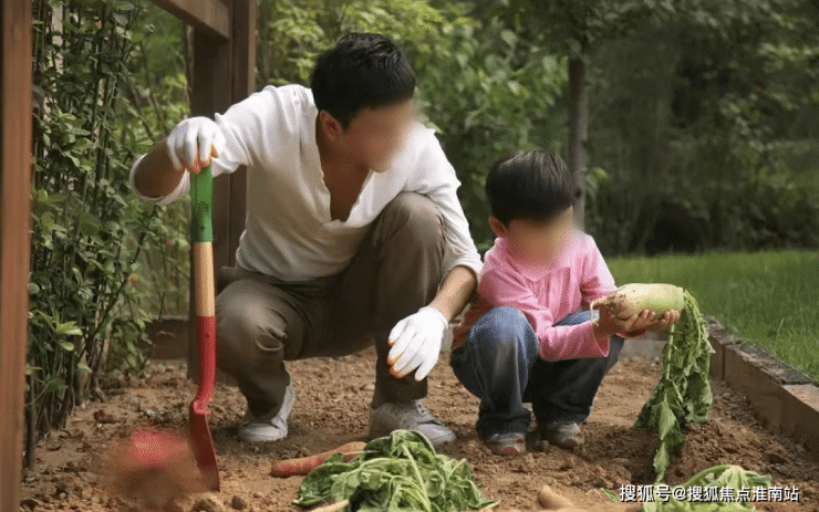 上实和风院(崇明上实和风院)楼盘网站丨上实和风院欢迎您丨和风院-楼盘详情