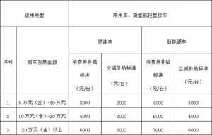 荣通集团(5000万长春市汽车消费补贴来了)