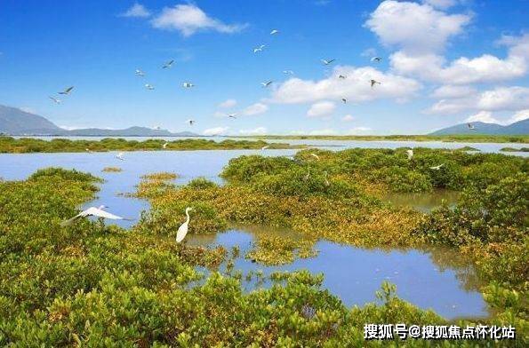 惠州富力湾售楼处电话丨24小时电话丨售楼处地址丨最新价格详情