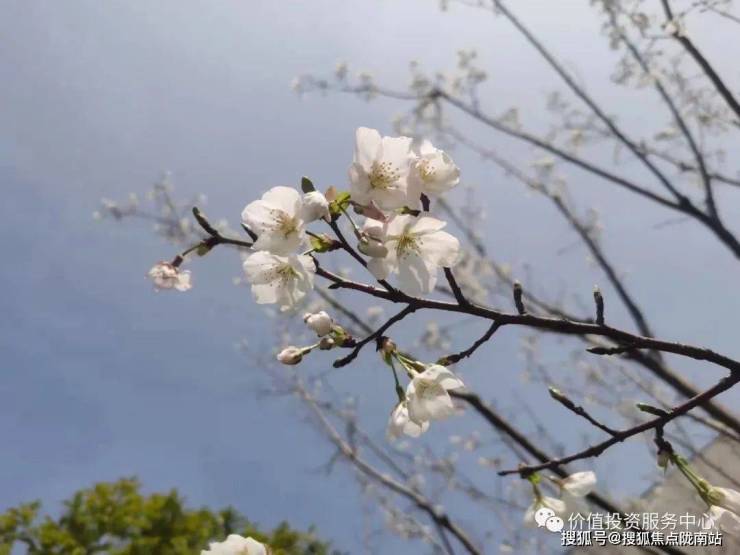 保利时光印 首页丨苏州保利时光印丨苏州保利时光印丨保利时光印丨楼盘详情