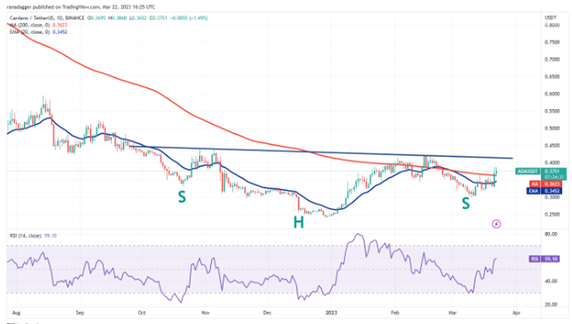 价格分析BTC、ETH、BNB、XRP、ADA、DOGE、MATIC、SOL、DOT、SHIB