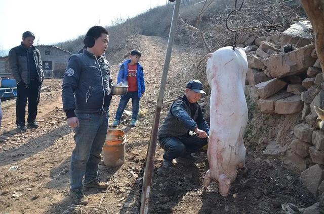 卖年猪肉被罚上万元，杀了年猪吃剩的肉为何不能买卖？