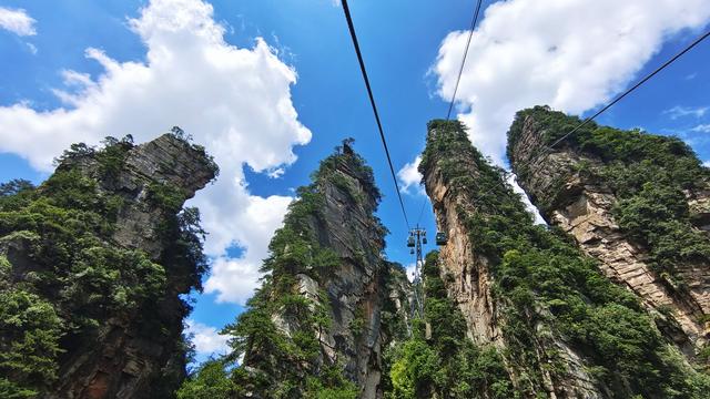 青山不改，绿水长流——中国第一个国家森林公园庆祝建园40周年