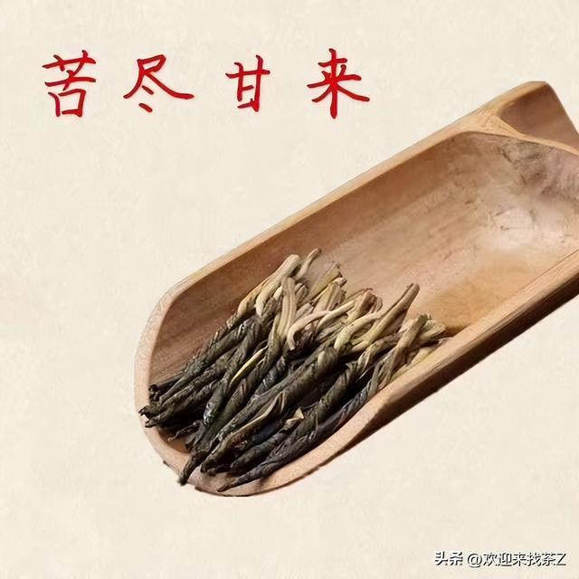 海南什么茶叶最好喝？