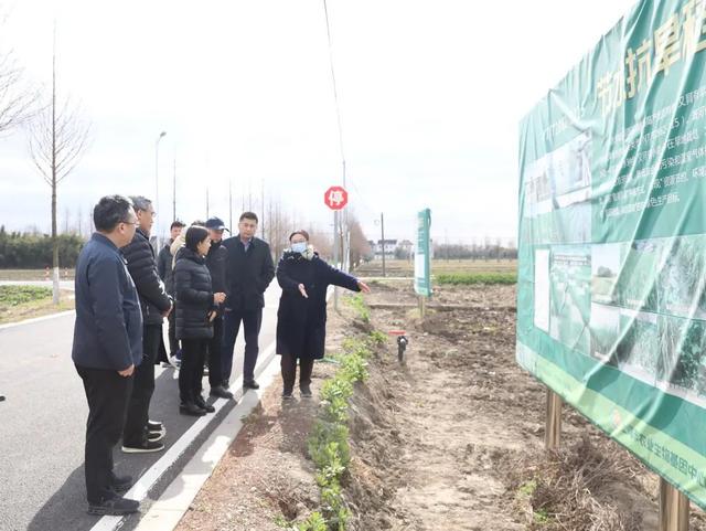 自然资源部赴金山区廊下镇调研全域土地综合整治试点项目