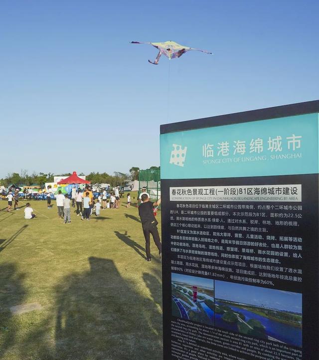 露营、“登月”、划帆船、吃海鲜…上海花式游，来这儿就对了