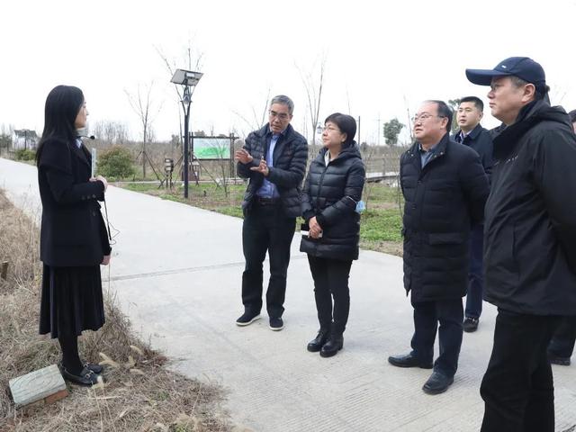 自然资源部赴金山区廊下镇调研全域土地综合整治试点项目