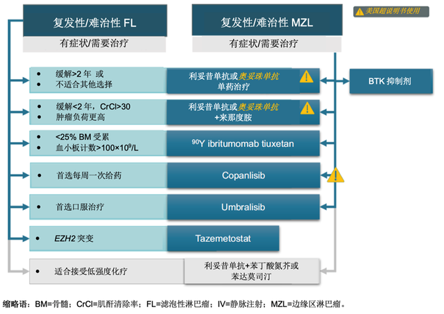 冯茹教授：PI3K抑制剂助力FL和MZL“无化疗”治疗，为患者带来生存获益