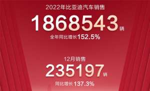 比亚迪汽车销量(过于生猛，比亚迪公布2023年销量成绩，全年累计18685万辆)