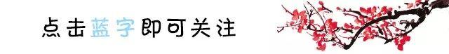 中华名园丨片山有致 寸石生情——片石山房