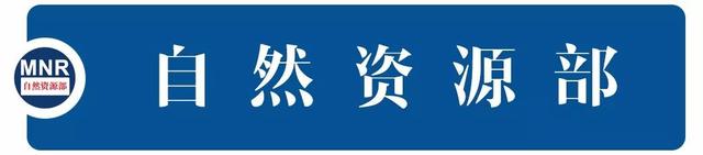 关于以第三次全国国土调查成果为基础明确林地管理边界 规范林地管理的通知