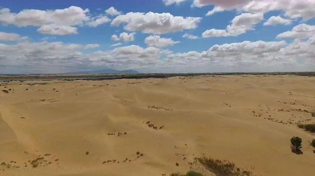 沙漠发大水了？塔克拉玛干沙漠出现大量湖泊，为啥不能植树造林？