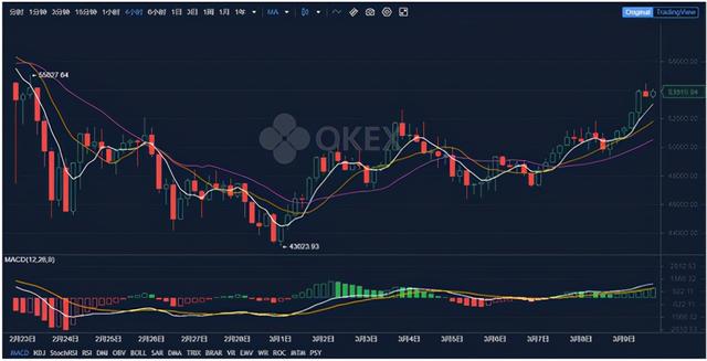 娜娜分析：Shevinsky加入Cointelegraph