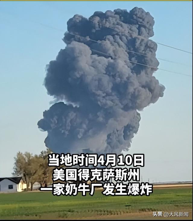 美国得州一奶牛场爆炸，致1.8万头奶牛被炸死，1人重伤