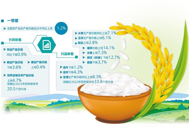 不必过分担忧大米产需缺口