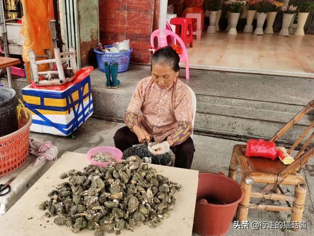 闽南的这个神奇村落，用海蛎壳搭房子，居住的是阿拉伯人后裔