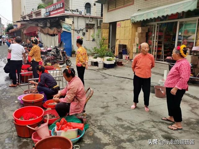 闽南的这个神奇村落，用海蛎壳搭房子，居住的是阿拉伯人后裔