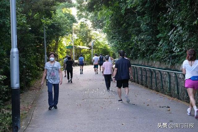 今日起进入巩固期，市况直击