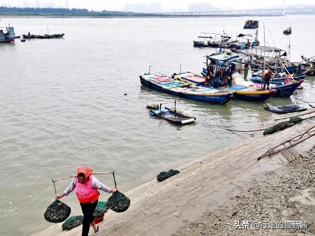 闽南的这个神奇村落，用海蛎壳搭房子，居住的是阿拉伯人后裔