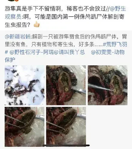 武汉肺炎最让人愤怒的事情：作死的人，求求你们不要再作孽了