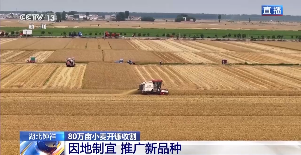 又是一年好“丰”景！小麦开镰收割 水稻插秧正当时