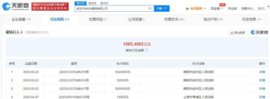 威马汽车科技集团新增3则被执行人信息