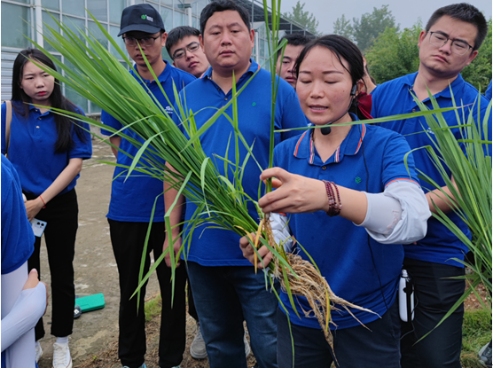 新洋丰：培育高素质农民，科技助力共同富裕