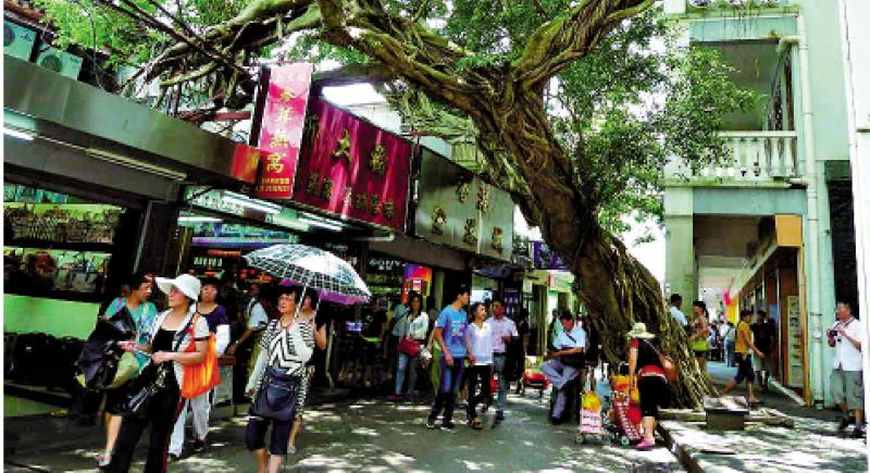 沙头角 新蓝图5-港深联手建设沙头角合作区