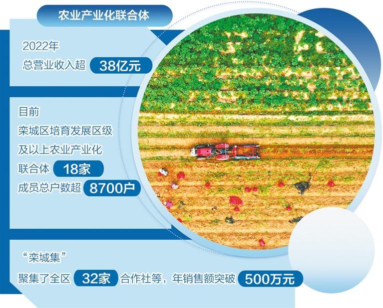 河北石家庄栾城区培育特色农产品品牌——富硒资源孕育高品质农业