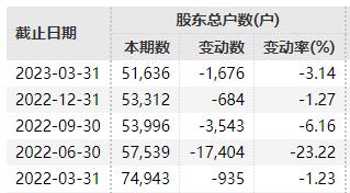 退市！退市！退市！9万股民踩雷