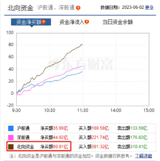 突然暴涨！超50股涨停