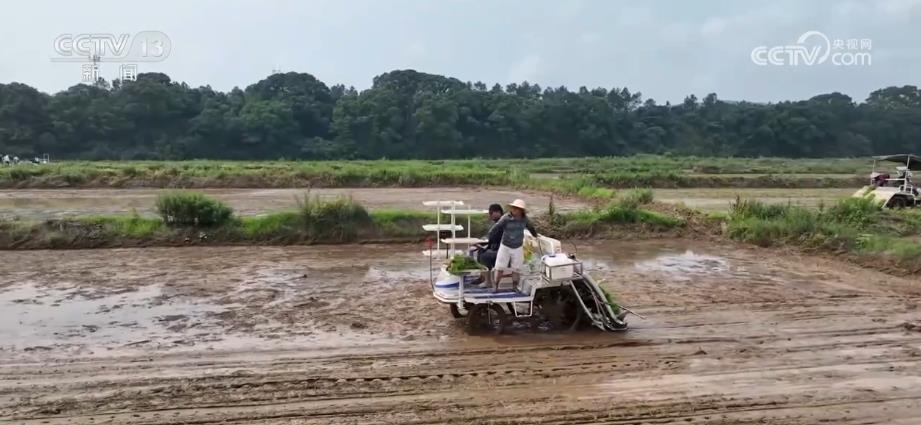 三位一体新技术 助力种粮节本增效