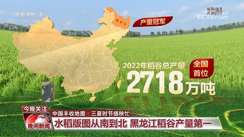 中国丰收地图：三夏时节插秧忙