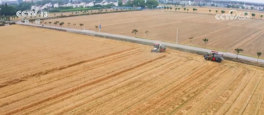 北斗导航系统无人驾驶插秧机、收割机提升夏收夏种效率