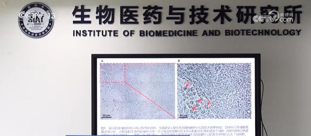 中国空间站多项太空实验有序展开 首次实现人类干细胞太空早期造血