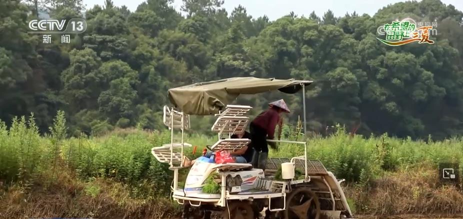 三位一体新技术 助力种粮节本增效