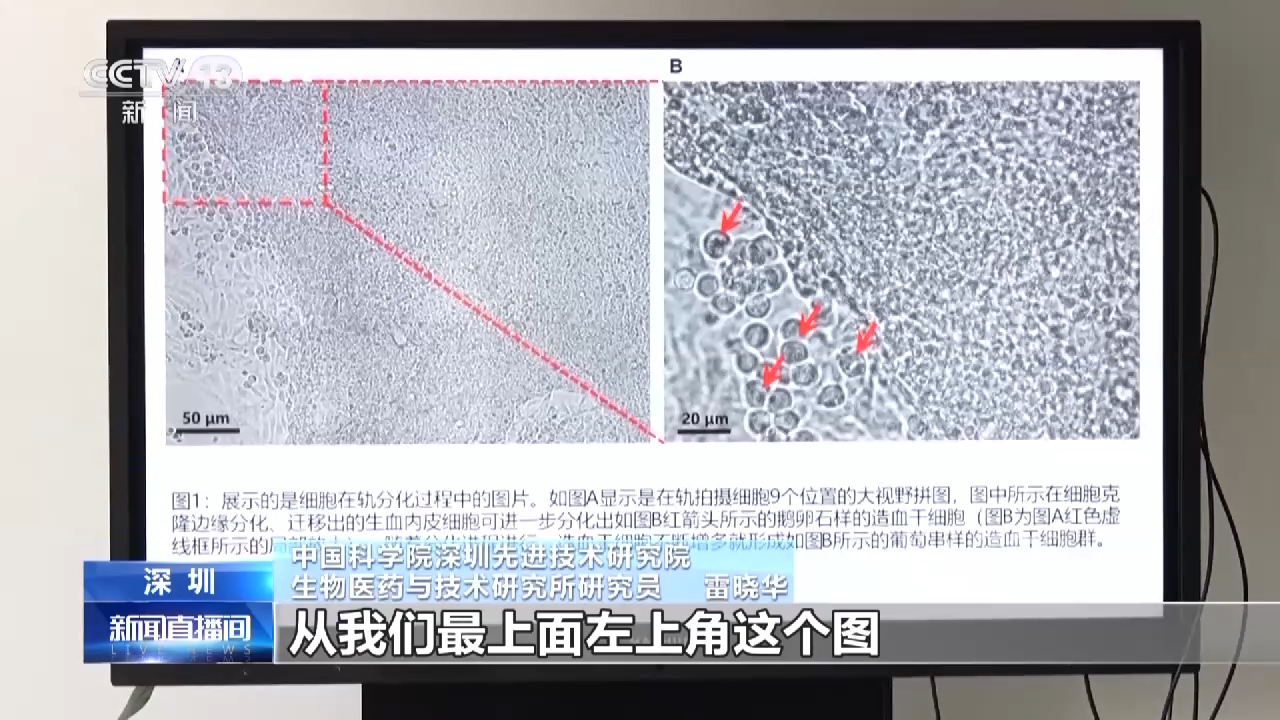 我国首次实现人类干细胞太空早期造血！细节图来了