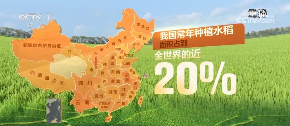 又是一年好“丰”景 从数据和地图中感受收获的喜悦