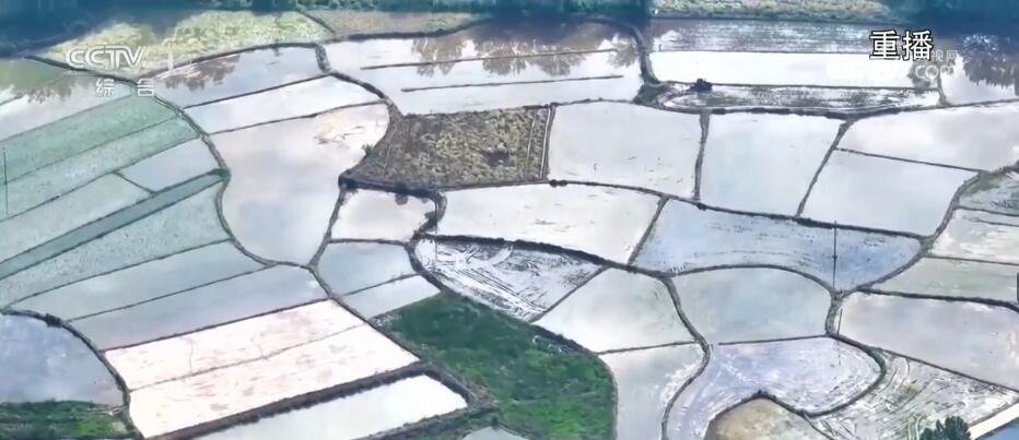 又是一年好“丰”景 从数据和地图中感受收获的喜悦