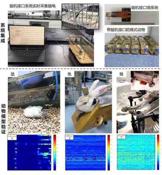 机器人科学家等摘取2021年SAIL大奖，它们背后有何绝招？