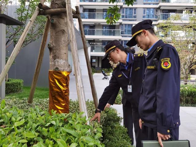 别大意！《住宅质量保证书》里这条不可少