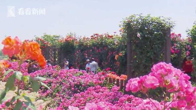 2023上海旅游节来啦 多家景点推出门票优惠活动