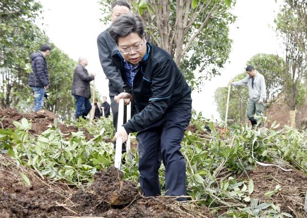 为宝庆大地再添新绿｜曹普华、鞠晓阳等市级领导义务植树