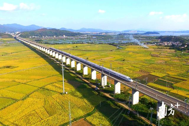 竞逐湾区惠更精彩｜惠州7个县区各出新招，加快软硬联通